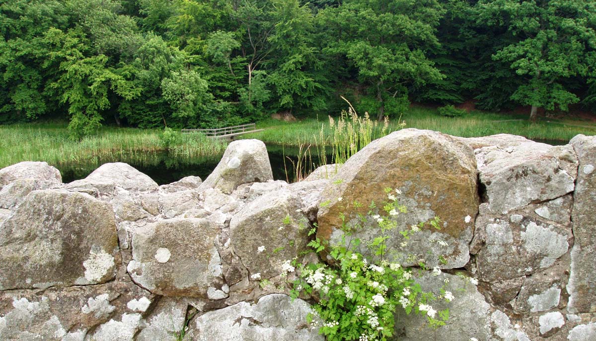 bornholm ekkodalen