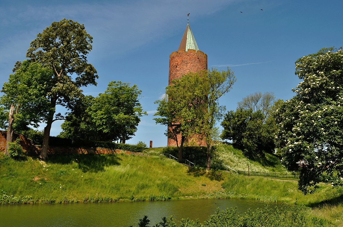 Gåsetårnet