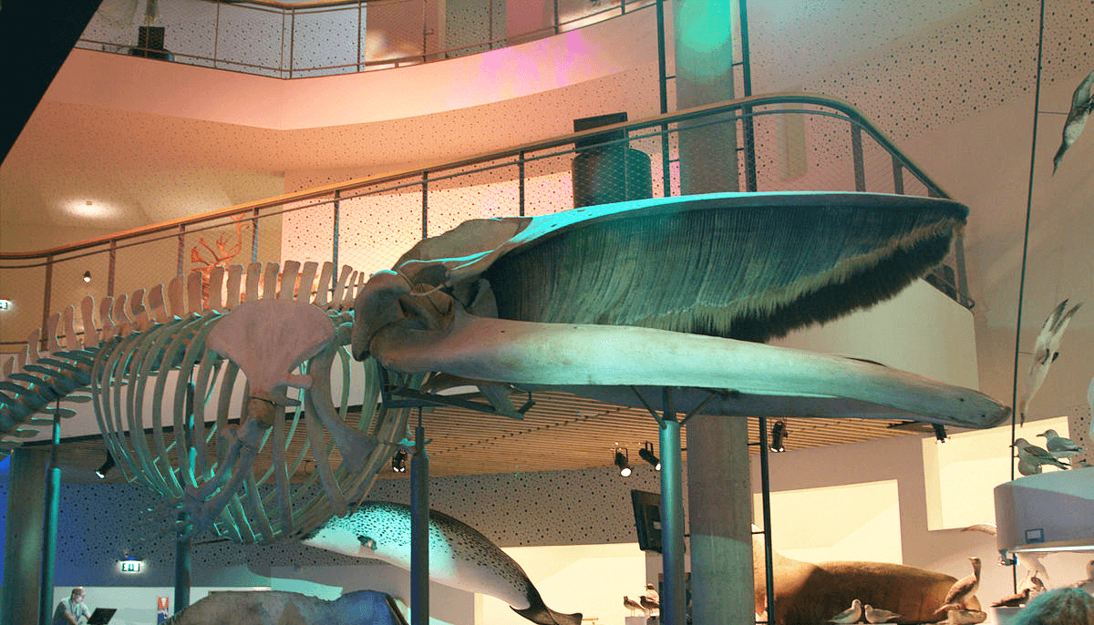 Naturama