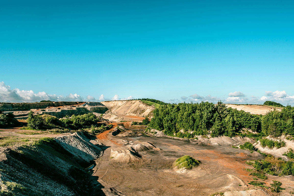 Vice forseelser Forsendelse Fossiljagt i Danmark