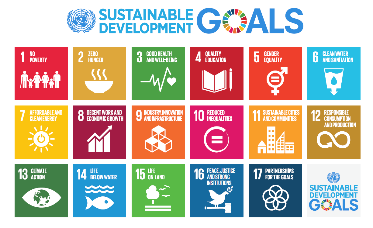 UN Sustainable Development Goals globe