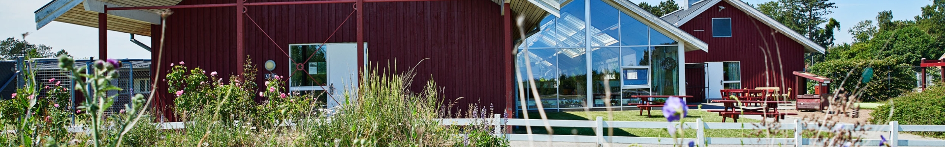 Danhostel Ishøj Strand