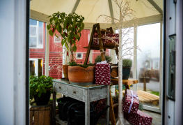 Danhostel Udsigten Faxe