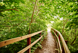 Natur omkring Danhostel Faxe