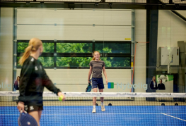 Batmintonbaner 