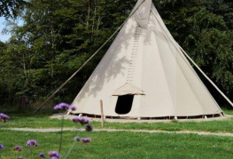 Tipi