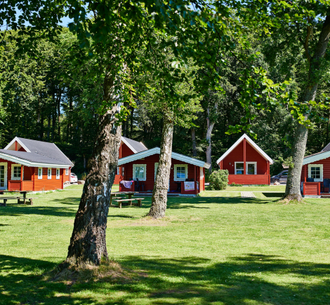 Hytter hos Danhostel SKanderbog 