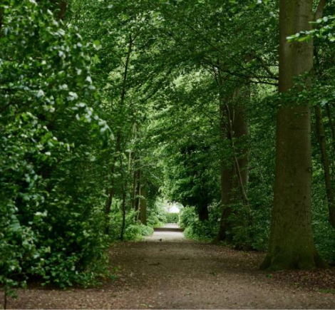 Walk the Historic Hærvejen Route Through Jutland