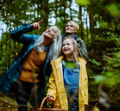 Walk the Historic Hærvejen Route Through Jutland