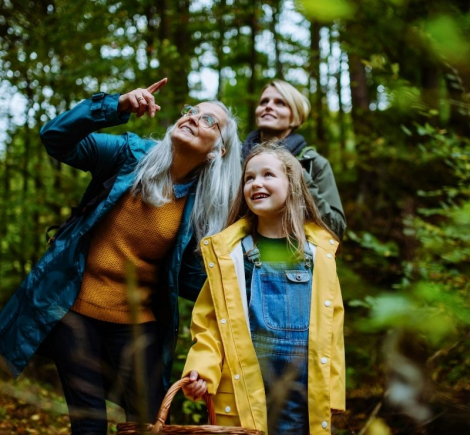 Walk the Historic Hærvejen Route Through Jutland