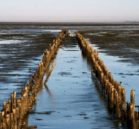 UNESCO World Heritage Sites i Denmark - Vadehavet, vestjylland