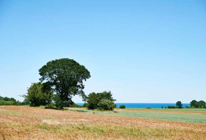 Combine Beach and Fun on Sunny Bornholm