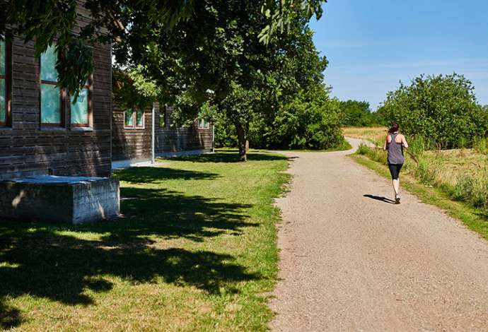 Danhostel, danmark, köpenhamn, vandrarhem, övernattning, prisvärt. amager