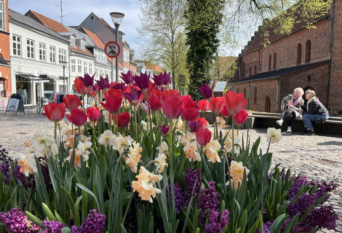 blomster svendborg