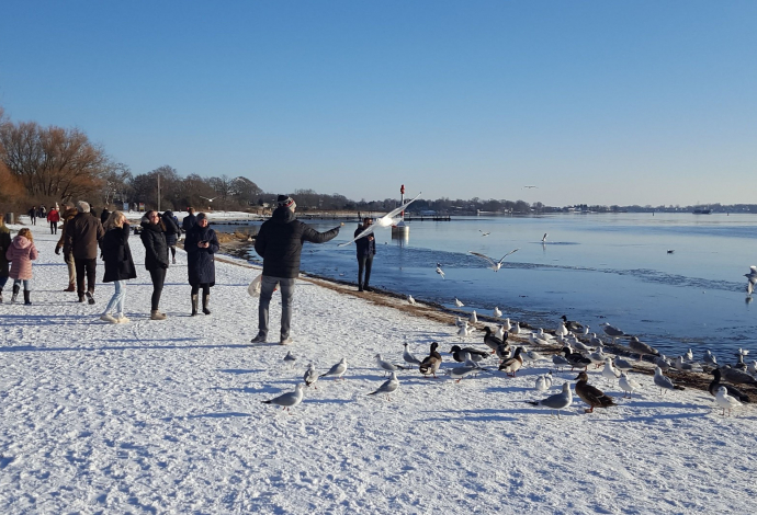 Danhostel Svendborg - Støberiet Svendborg 