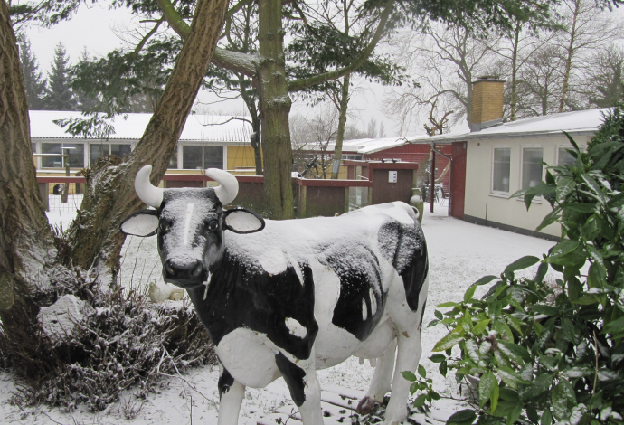 Vinterferie i Sønderborg, Sønderjylland!