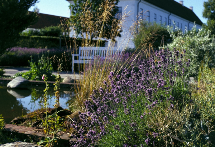 Haven på Vitskøl Kloster
