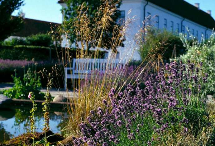 Danhostel Vitskøl Kloster Selskabslokaler