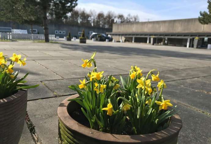 Danhostel Ebeltoft grupper