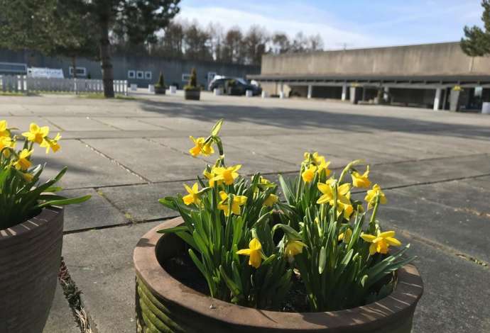 Danhostel Toppen af Ebeltoft grupper