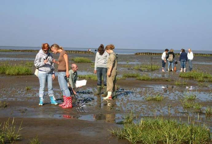 Danhostel Ribe grupper