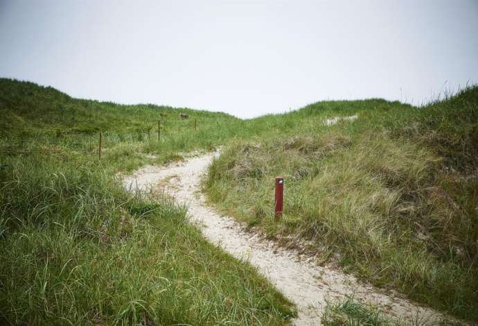 Danhostel Henne Strand lejrskoler