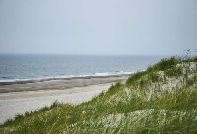 Danhostel Henne Strand lejrskoler