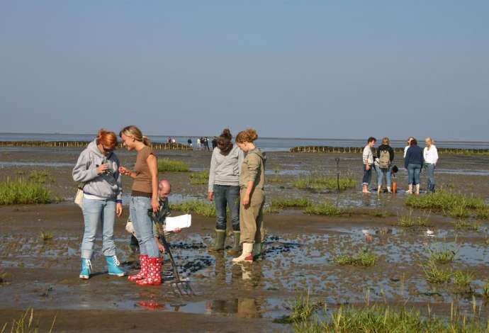 Danhostel Ribe lejrskole