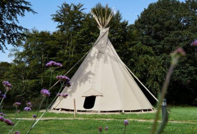 Tipi