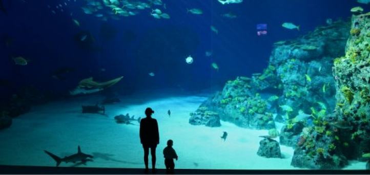 Guides til ferie med børn