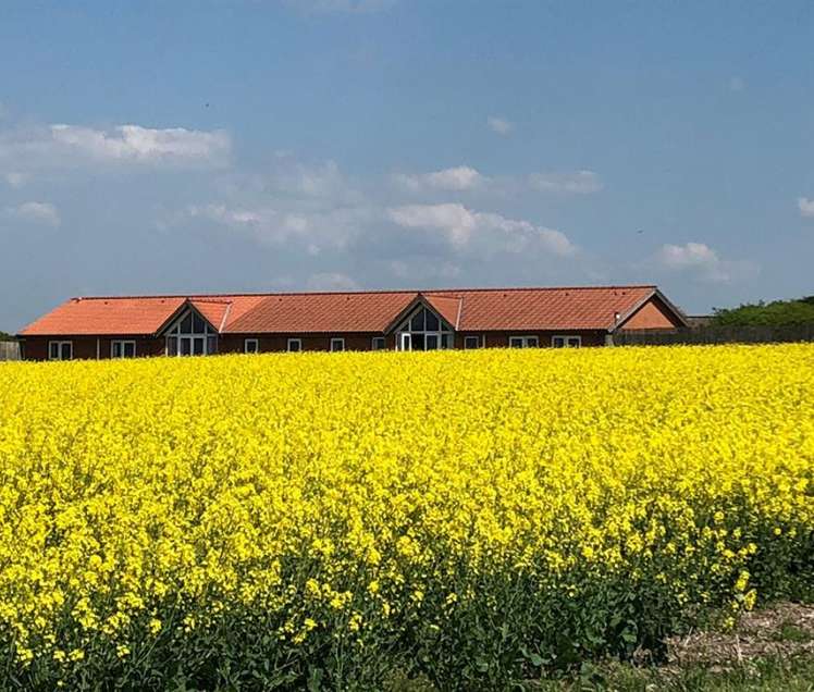 Danhostel Fjaltring
